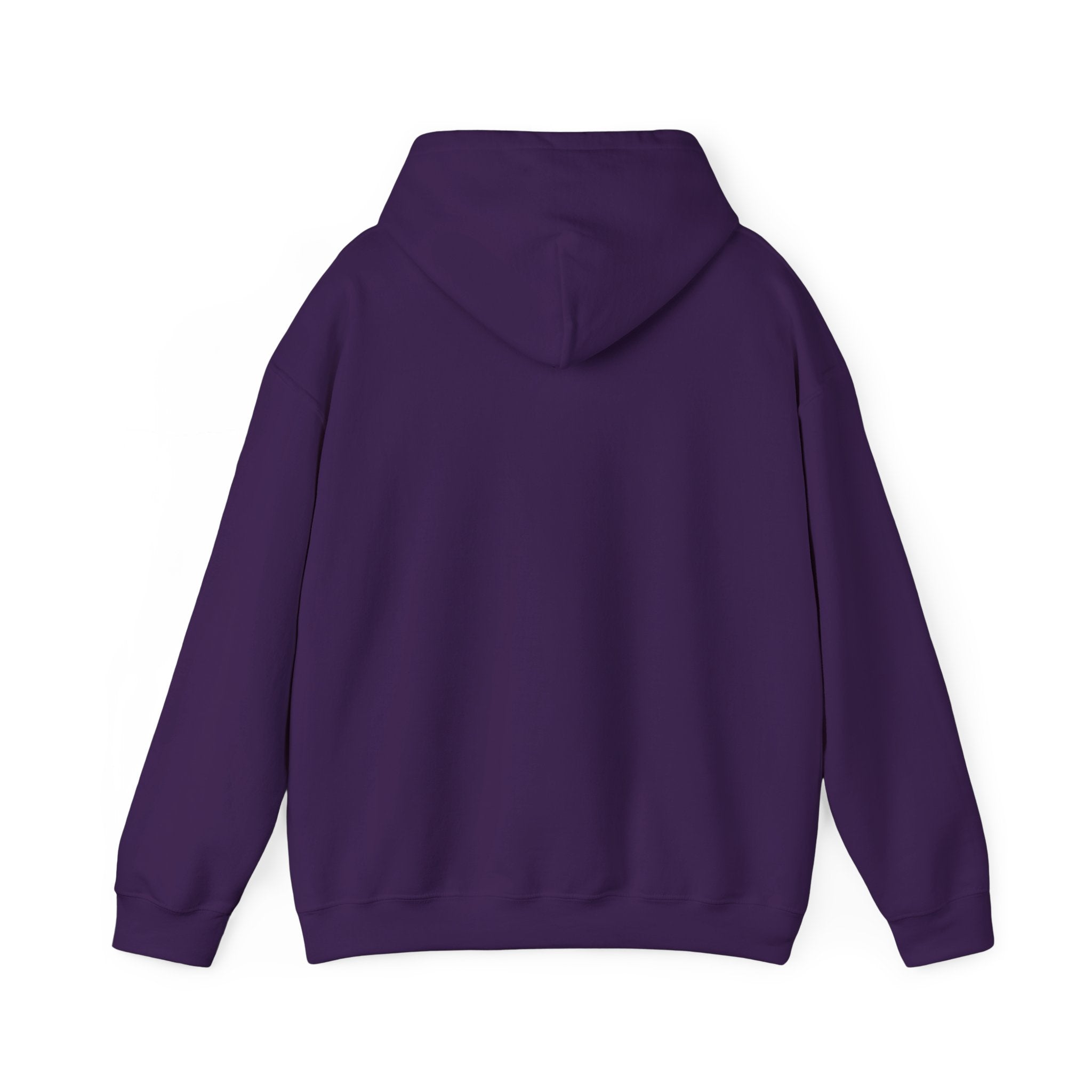 Passport Dude Unisex Heavy Blend™ Hooded Sweatshirt
